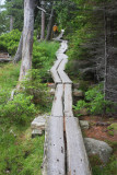 Boardwalk Around Jordan Pond.jpg