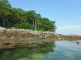 Maines Coastline.jpg