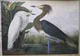 Audubon Reddish Egret Puzzle