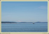 _D712792csX920.jpg
