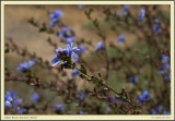 _D712812csX1920.jpg