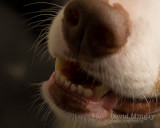 Jul 31: JDs smile