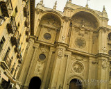Mar 4 - Catedral