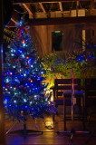 Blue Tree.jpg