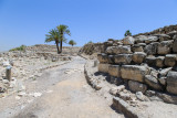Megiddo National Park