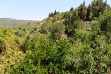 from St. John Ba Harim
