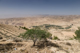 Mount Nebo