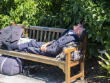 Resting in the Botanic Gardens