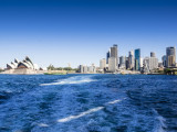 The harbour