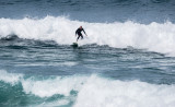 Bondi Beach