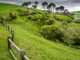 _A120879.jpg