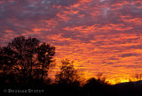 Sunrise over Townsend, TN.