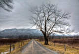 Sparks Lane in HDR