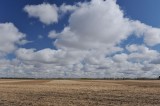 DSC_3850.jpg