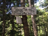 2014-07-26 14:04