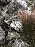 2014-08-09 11:58