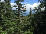 2014-08-08 12:19