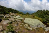 IMG_0189.jpg