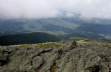 IMG_0204.jpg