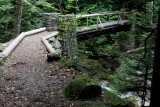 IMG_0565.jpg