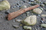Driftwood on Wreck beach
