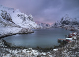 Reine Light