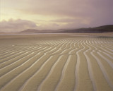 Stripes Traigh Lar