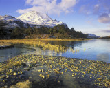 Loch Clair Gold 2