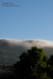 20130512_30145 Mist On The Escarpment (Sun 12 May)