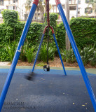 141110_0628 Ghost Swinger (Mon 10 Nov)