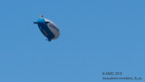 20150516_007247 It Didnt End with the Hindenburg (Sat 16 May)