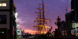 20150525_007353 James Craig, Dawn (Mon 25 May)