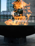 20150625_008288 The Eternal Dragon (Thu 25 Jun)