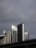 20151027_009691 Gathering Urban Storm, With Bird (Tue 27 Oct)