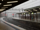 20151113_009759 One Week On (Fri 13 Nov)