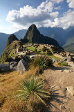 Machu Picchu_G1A6849.jpg