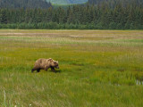 meadow snacks.jpg