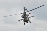 Nederlandse Apache