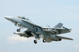F/A-18F Super Hornet