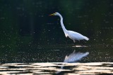 DSC_3846.jpg