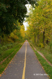 Fall along the River