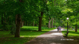Walk to Rideau Hall