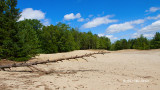Ottawa Sand Dune