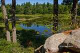Beaver Pond at the Foley Mountain Conservation Area