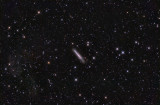 NGC7090 (Spiral Galaxy) & Environs