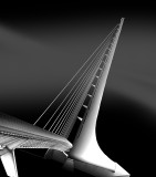 CRW_1683-496.jpg