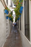 Cordoba street