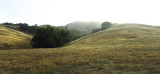 Marine layer approaching