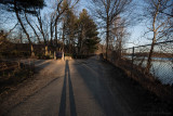 Shadow