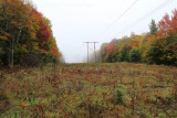 Misty Powerline